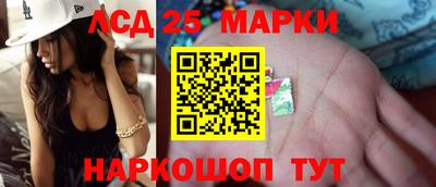 сатива Кингисепп