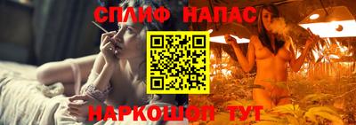 гидропоника Камышлов