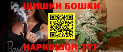 гидропоника Камышлов