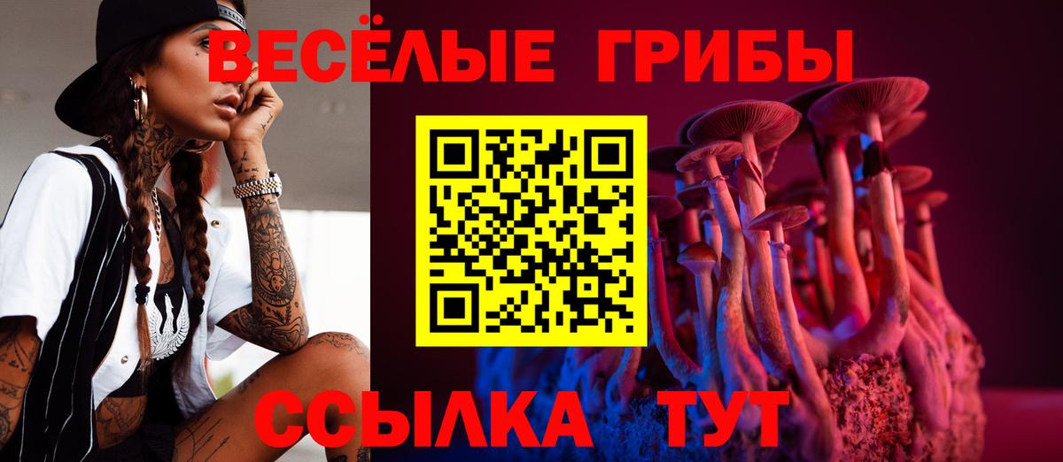 Кудрово  где купить   Вход с VPN  Псилоцибиновые грибы MAGIC MUSHROOMS 